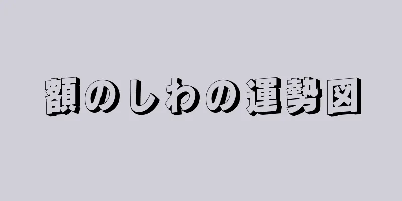 額のしわの運勢図