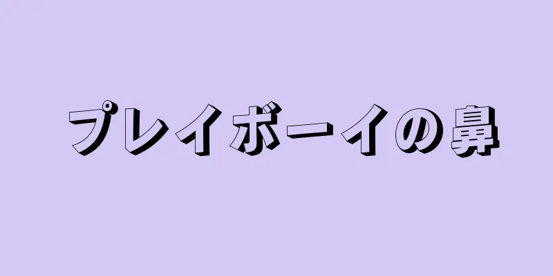 プレイボーイの鼻