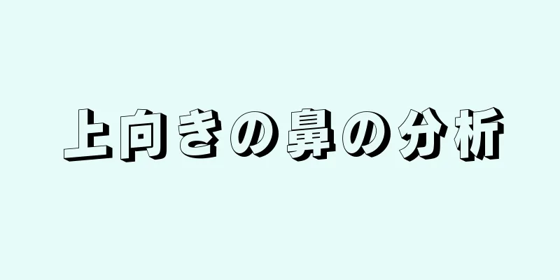 上向きの鼻の分析