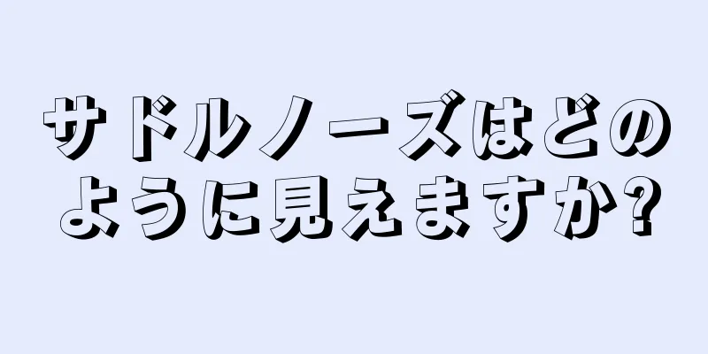 サドルノーズはどのように見えますか?