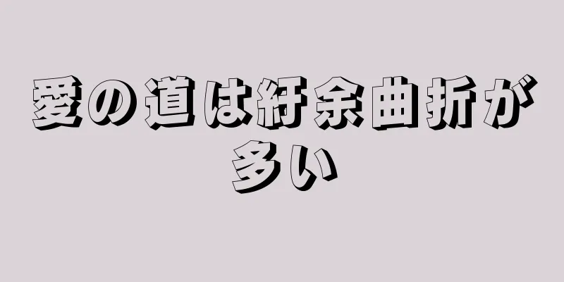 愛の道は紆余曲折が多い