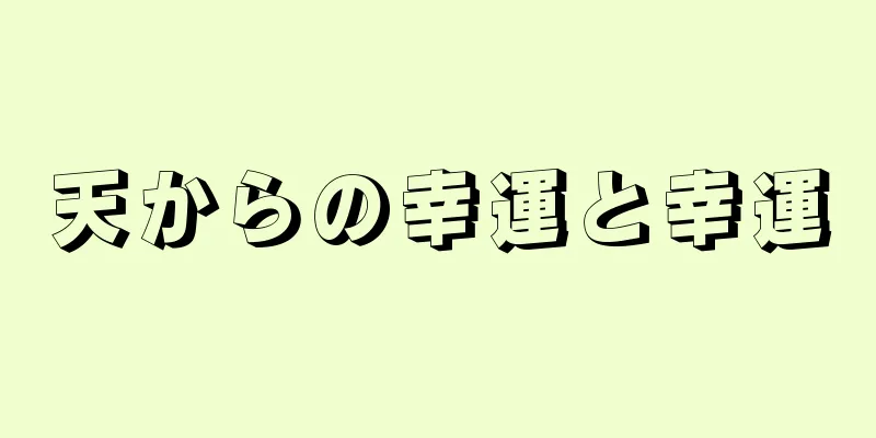 天からの幸運と幸運