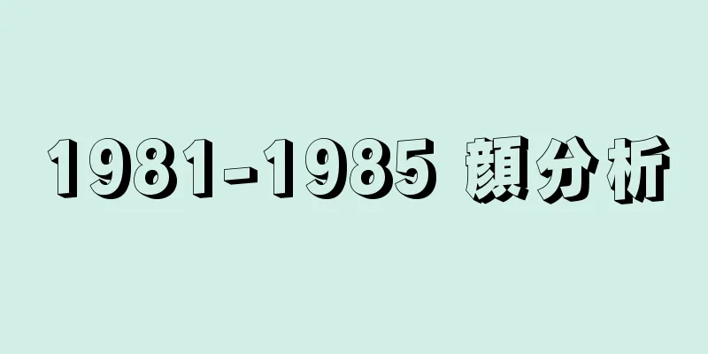 1981-1985 顔分析