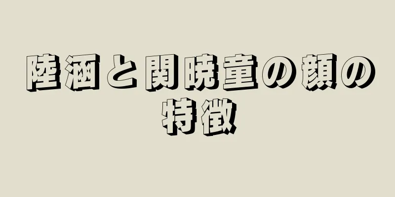 陸涵と関暁童の顔の特徴