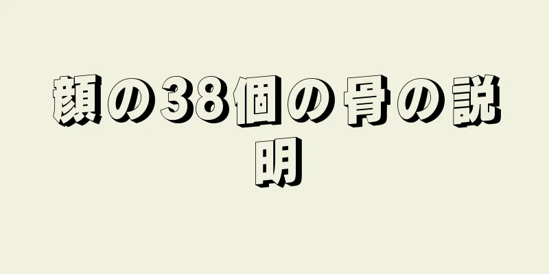 顔の38個の骨の説明