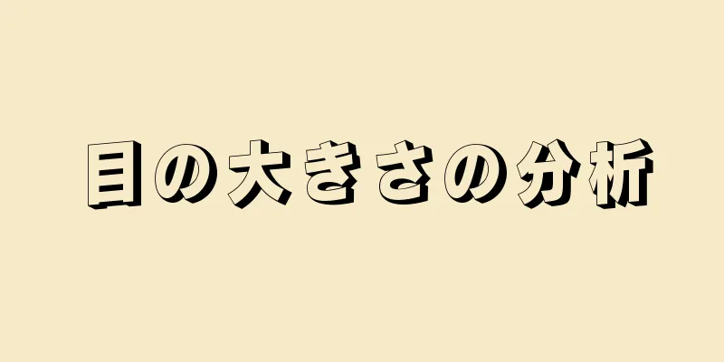 目の大きさの分析