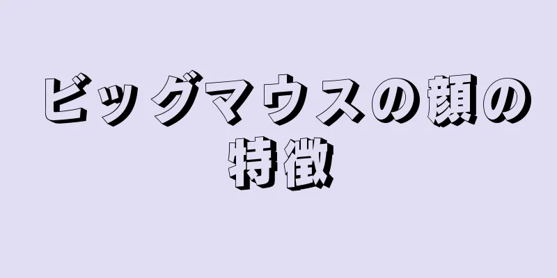ビッグマウスの顔の特徴