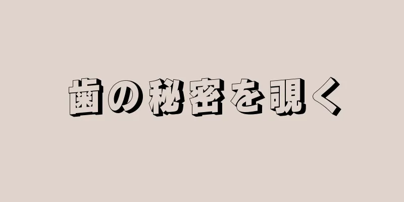 歯の秘密を覗く