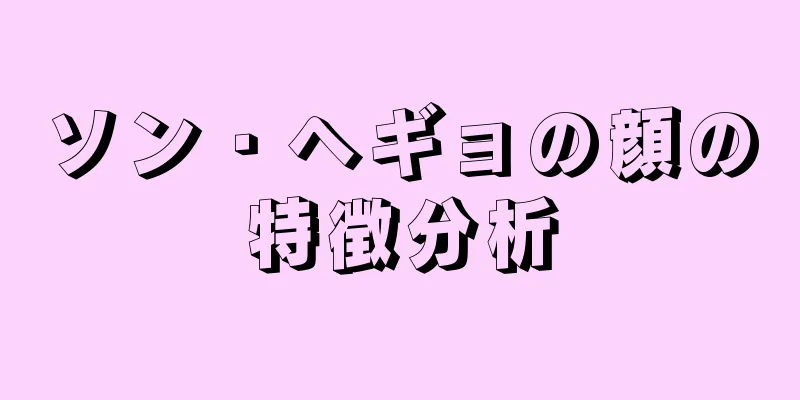 ソン・ヘギョの顔の特徴分析