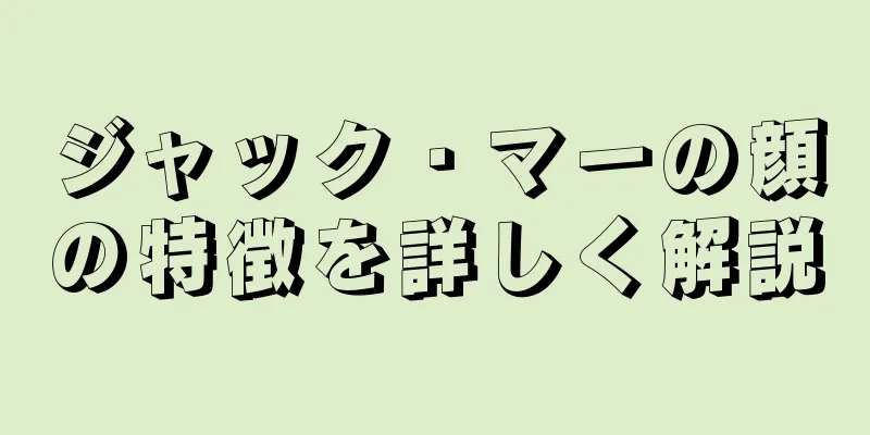 ジャック・マーの顔の特徴を詳しく解説