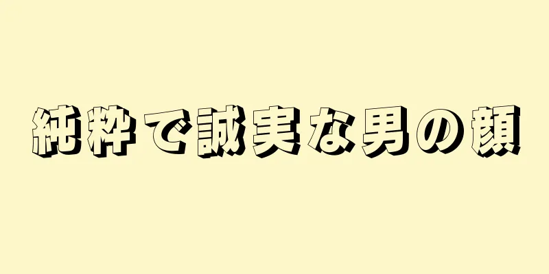 純粋で誠実な男の顔