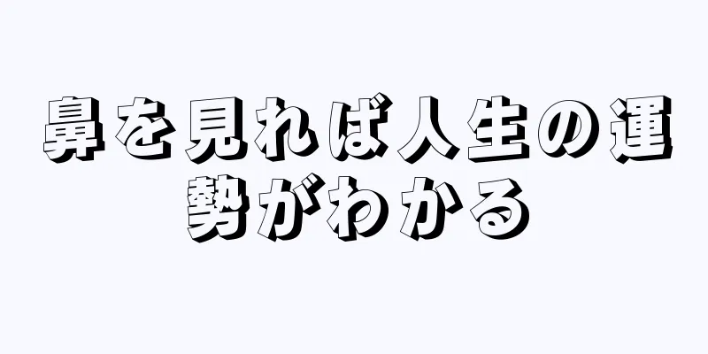 鼻を見れば人生の運勢がわかる