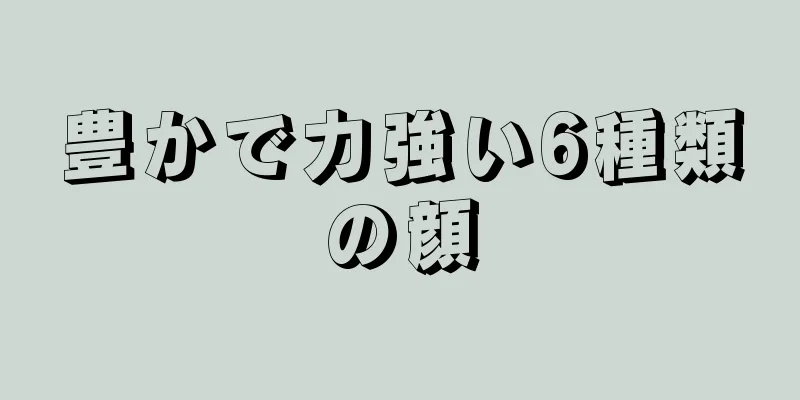 豊かで力強い6種類の顔