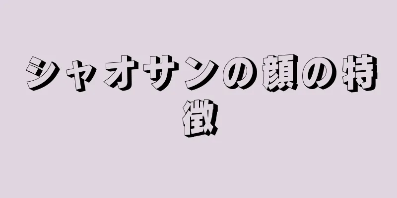 シャオサンの顔の特徴