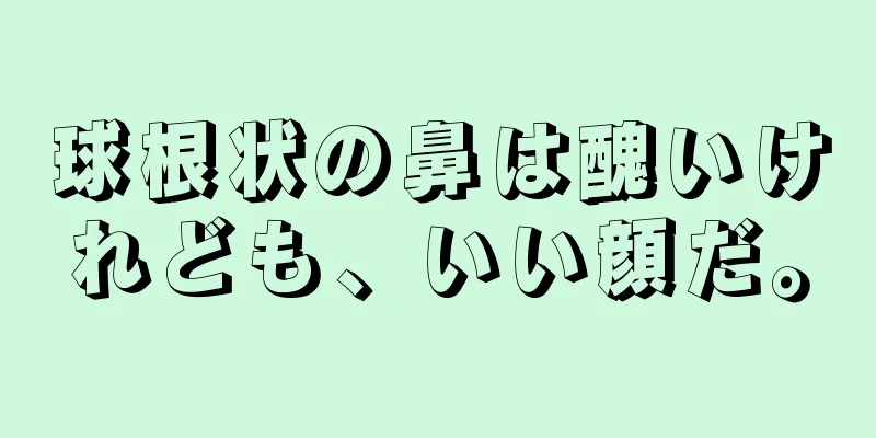 球根状の鼻は醜いけれども、いい顔だ。