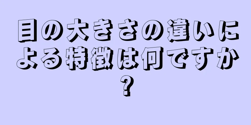 目の大きさの違いによる特徴は何ですか?