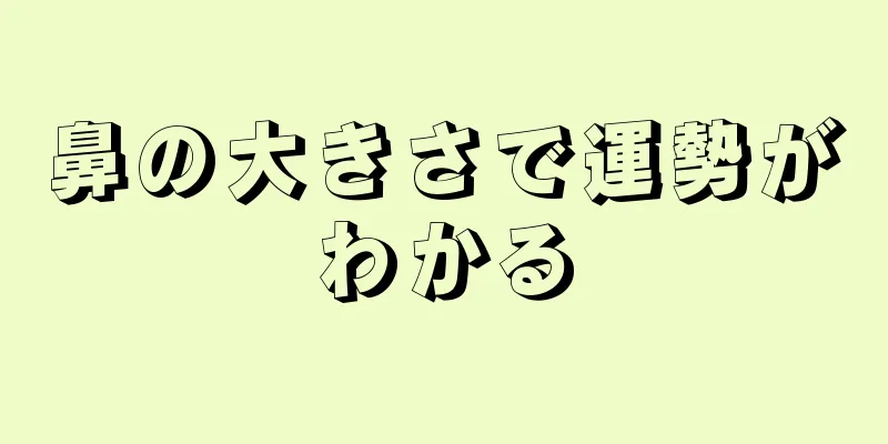 鼻の大きさで運勢がわかる