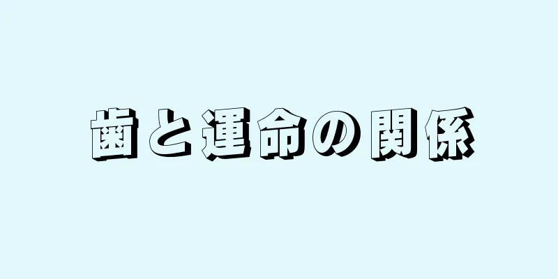 歯と運命の関係