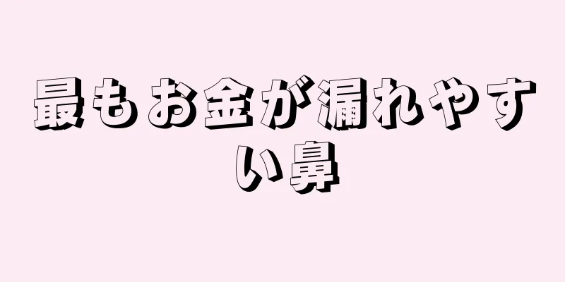 最もお金が漏れやすい鼻