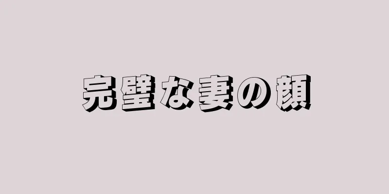 完璧な妻の顔