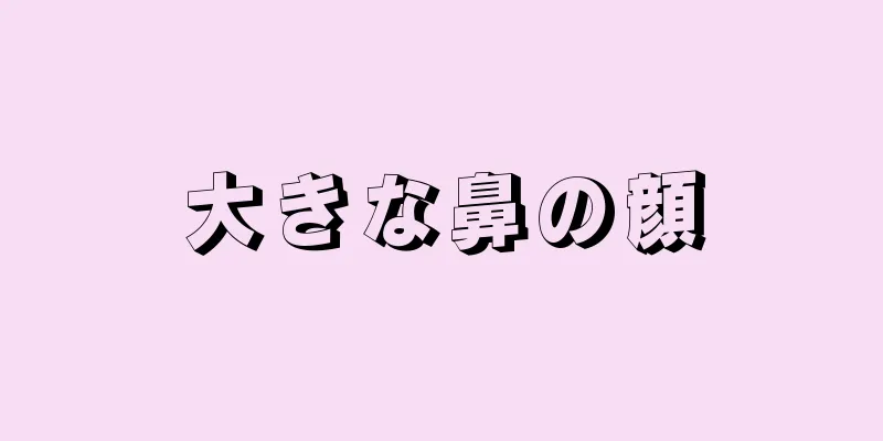 大きな鼻の顔