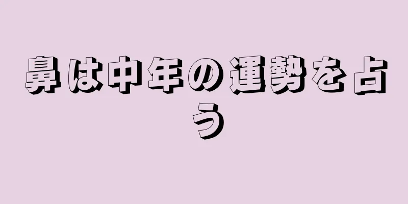 鼻は中年の運勢を占う