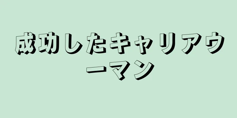 成功したキャリアウーマン