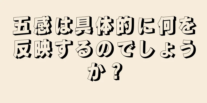 五感は具体的に何を反映するのでしょうか？