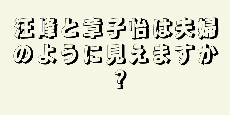 汪峰と章子怡は夫婦のように見えますか？