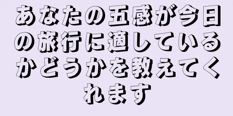 あなたの五感が今日の旅行に適しているかどうかを教えてくれます