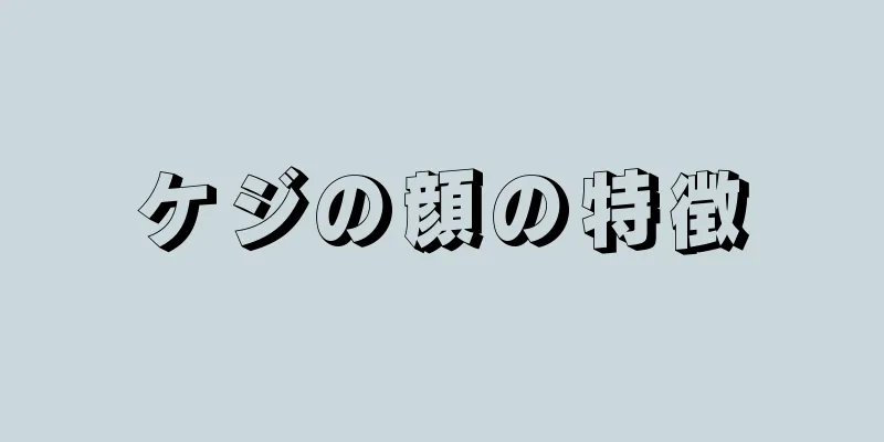 ケジの顔の特徴