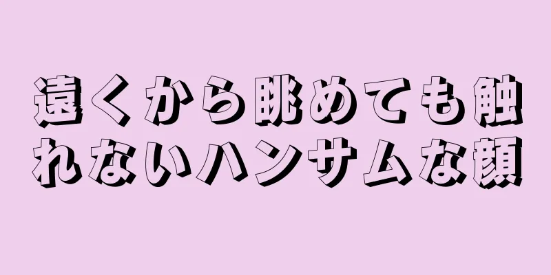 遠くから眺めても触れないハンサムな顔