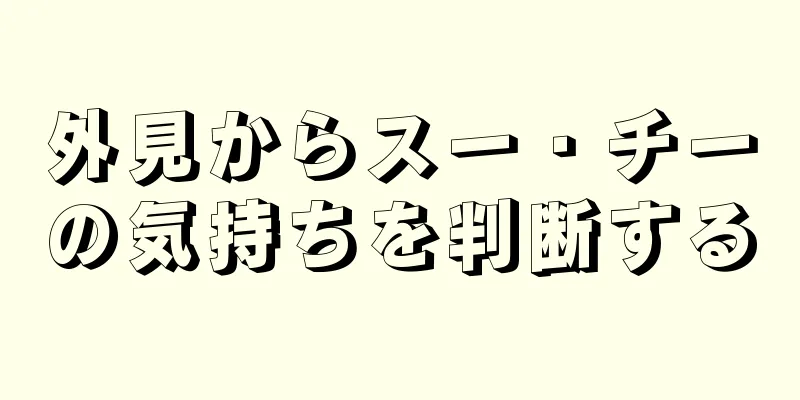 外見からスー・チーの気持ちを判断する