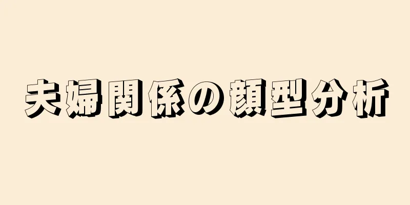 夫婦関係の顔型分析