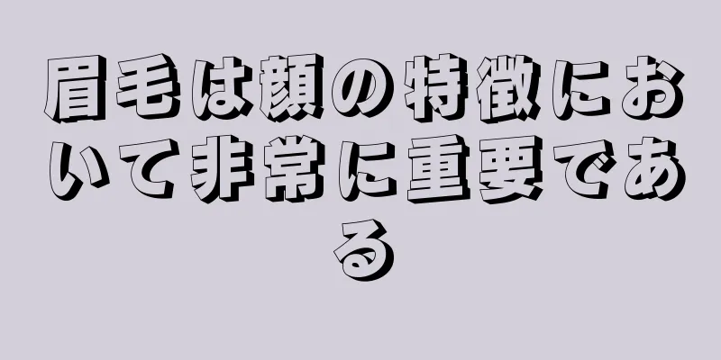 眉毛は顔の特徴において非常に重要である