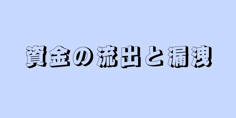 資金の流出と漏洩