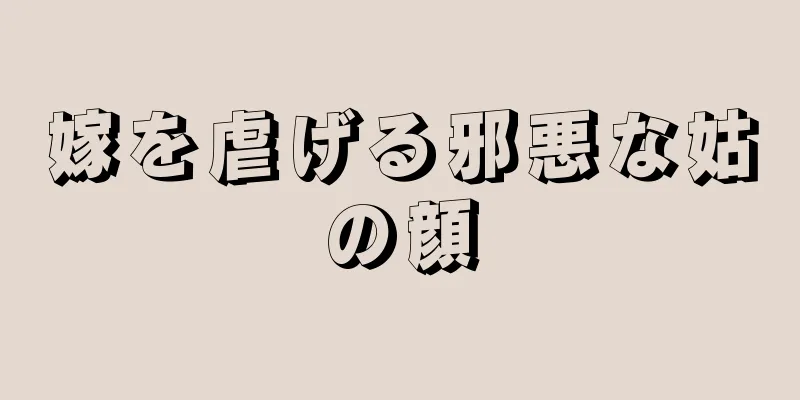 嫁を虐げる邪悪な姑の顔