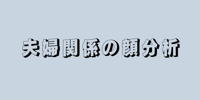 夫婦関係の顔分析