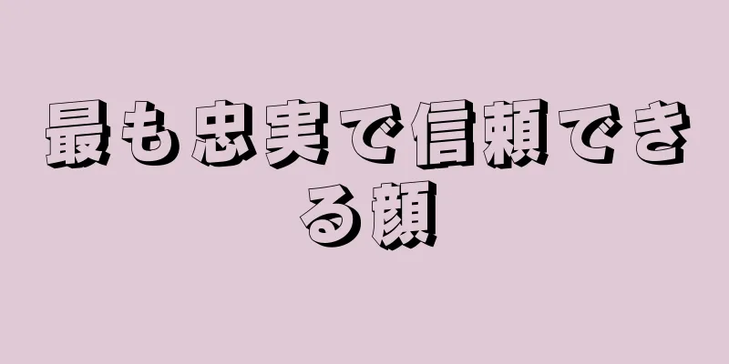 最も忠実で信頼できる顔