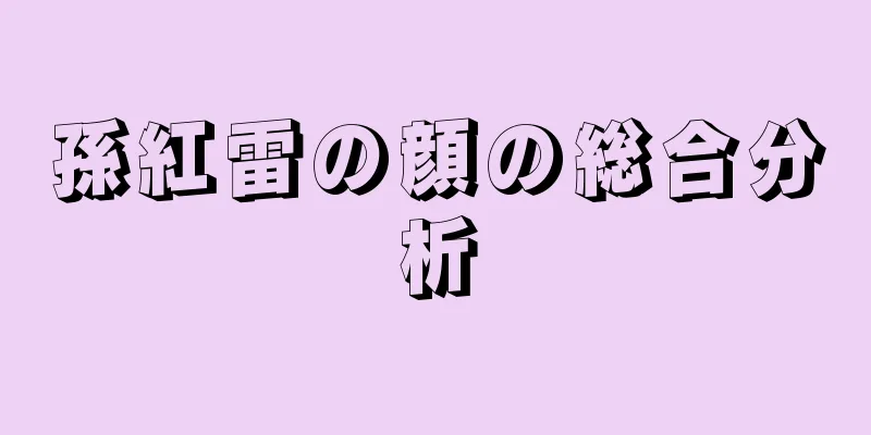 孫紅雷の顔の総合分析