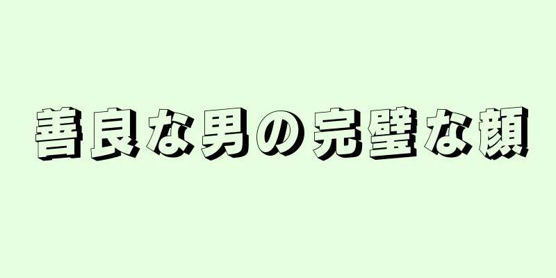 善良な男の完璧な顔