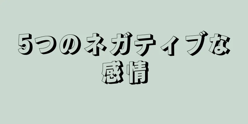 5つのネガティブな感情