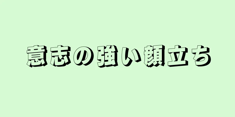 意志の強い顔立ち