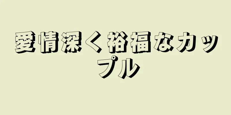 愛情深く裕福なカップル