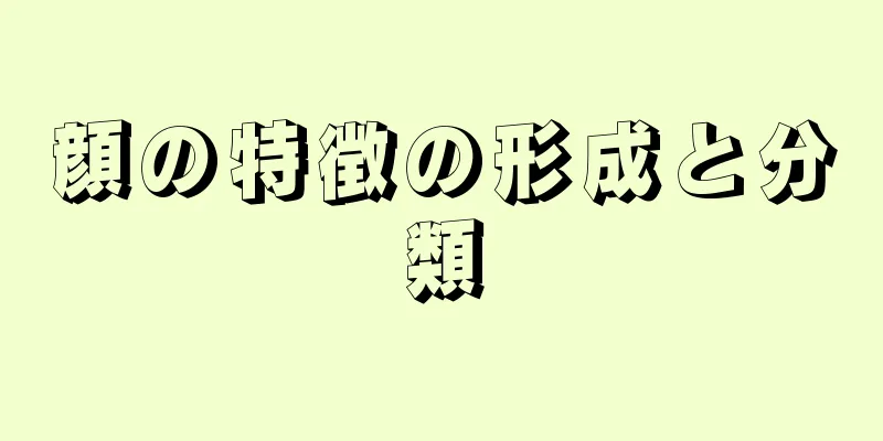 顔の特徴の形成と分類