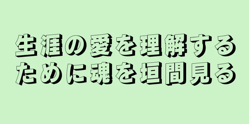 生涯の愛を理解するために魂を垣間見る