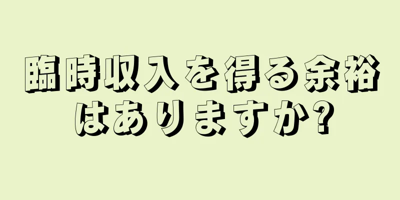 臨時収入を得る余裕はありますか?