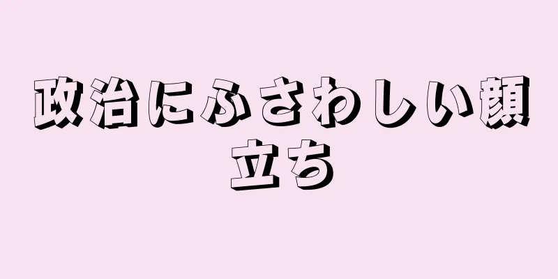 政治にふさわしい顔立ち