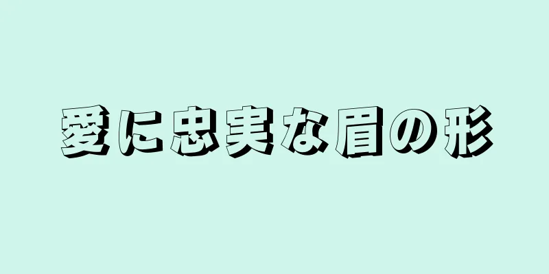 愛に忠実な眉の形