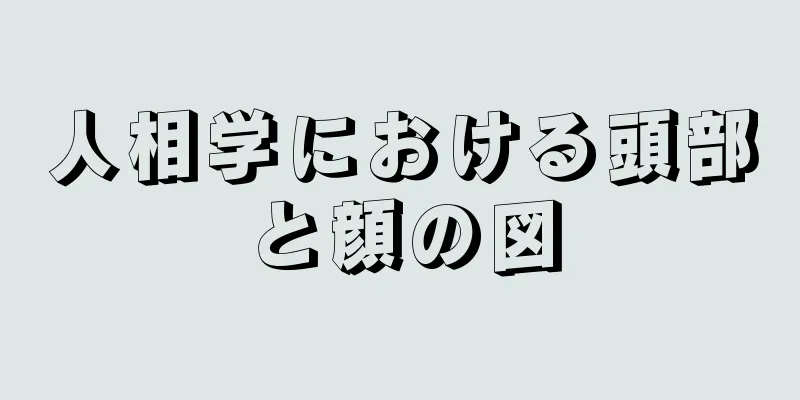 人相学における頭部と顔の図